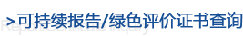 报告查询